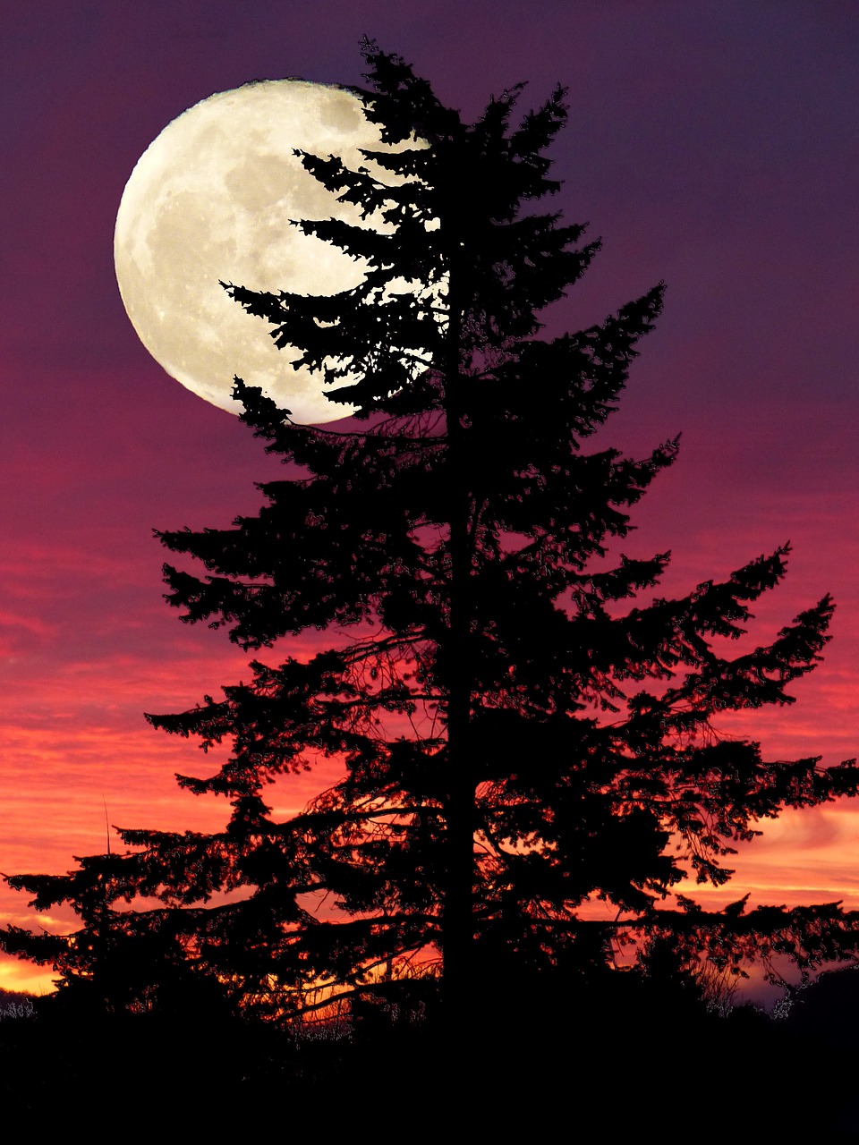 fantasy light full moon free photo