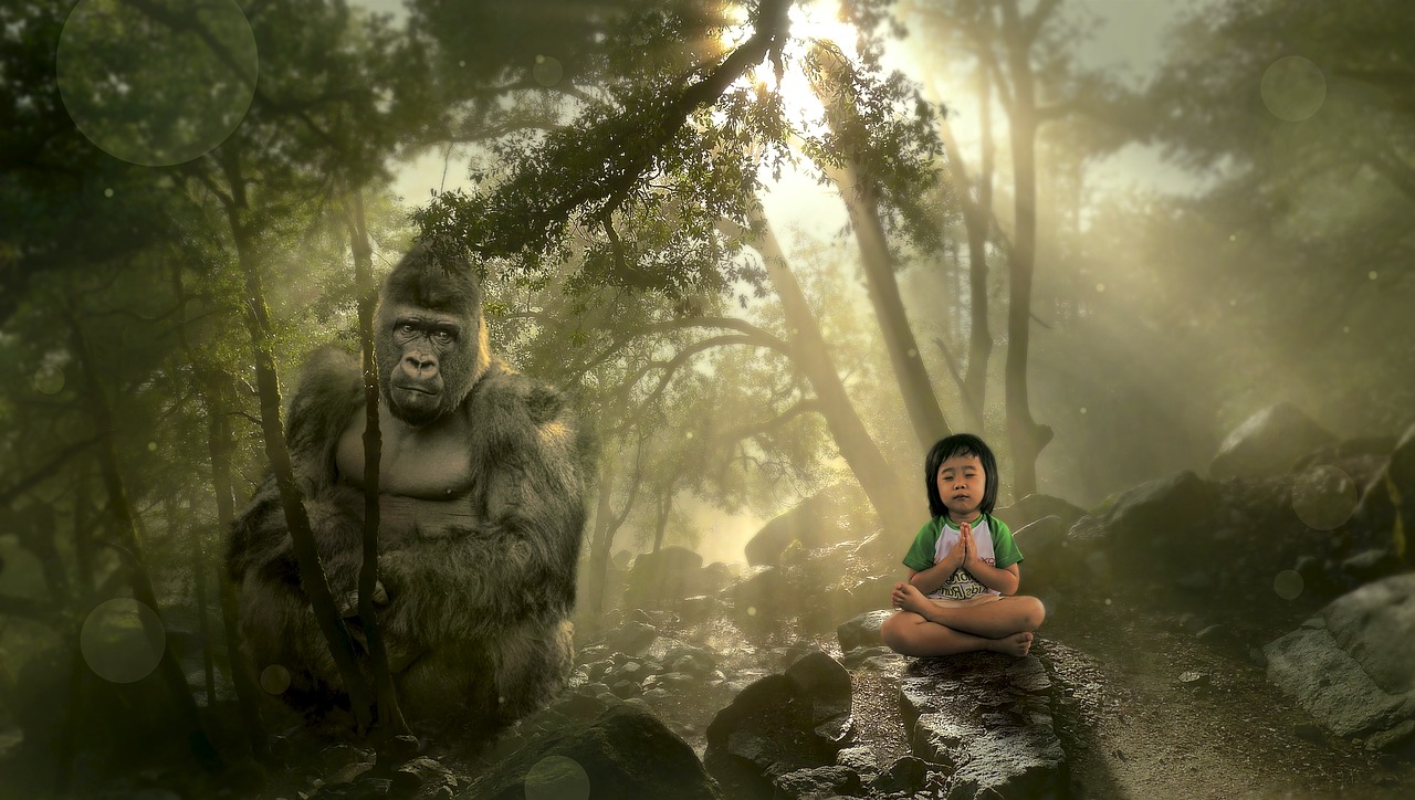 fantasy forest gorilla free photo