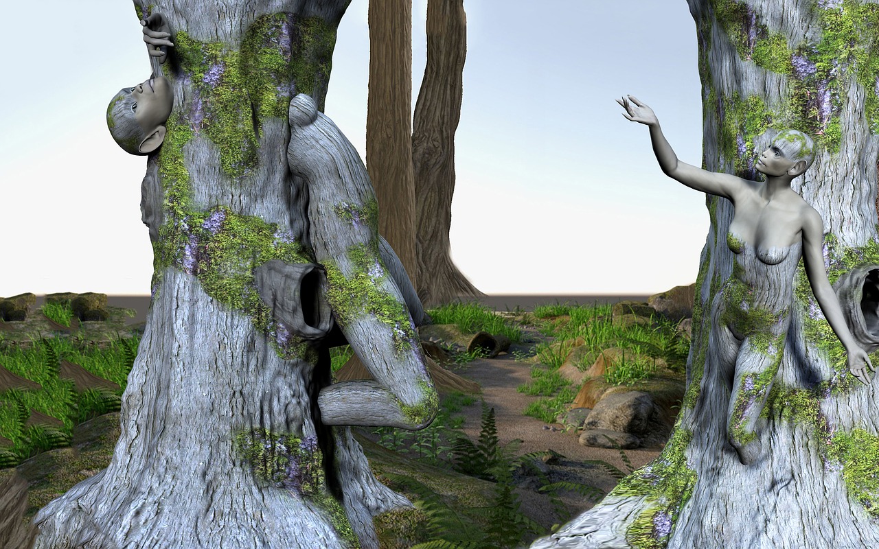 fantasy forest photo montage free photo