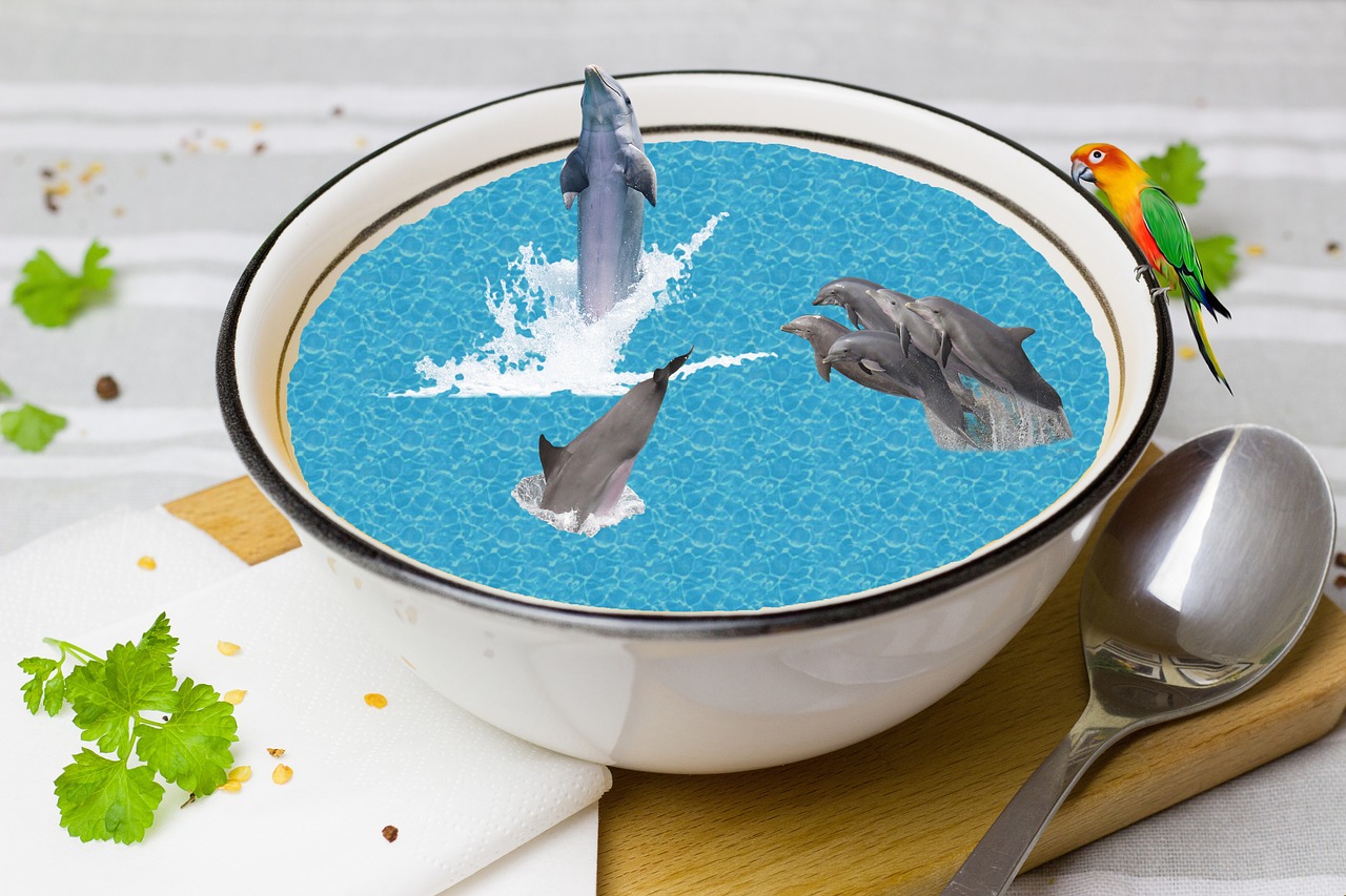 fantasy dolphins tureen free photo