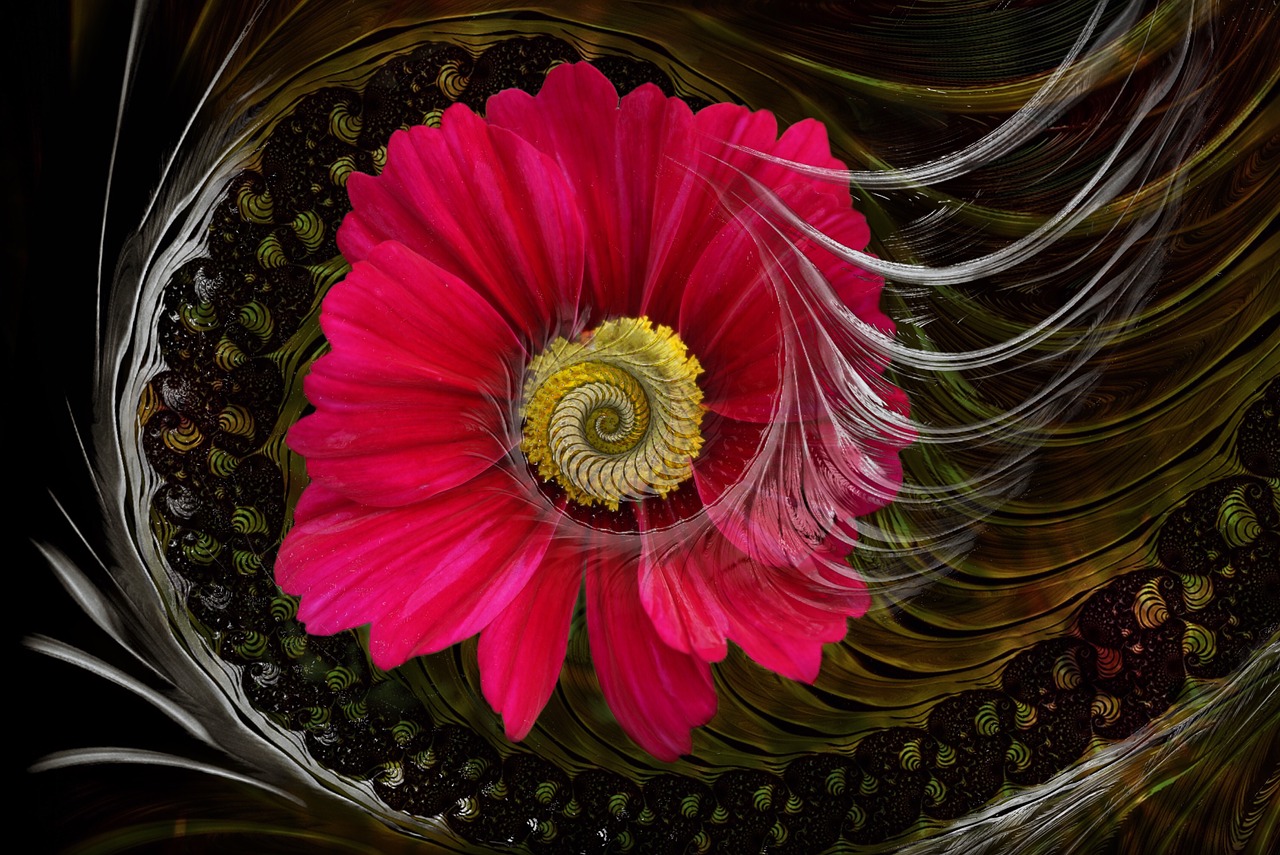 fantasy flower fractal free photo