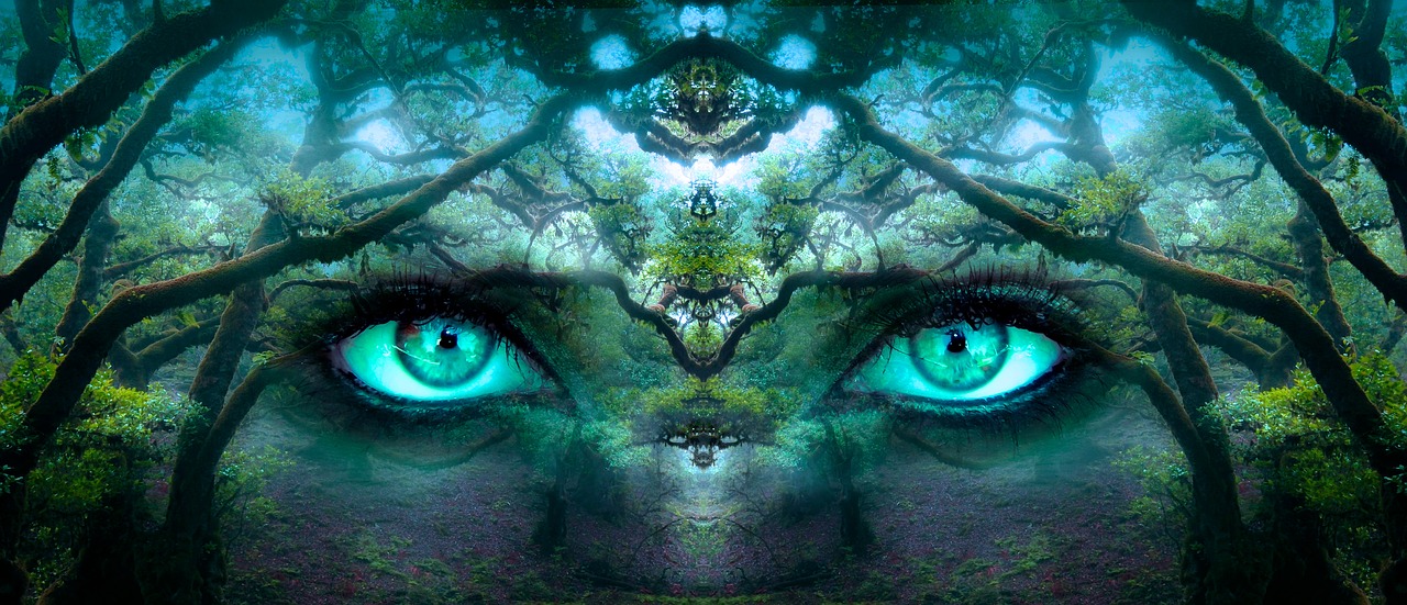 fantasy eyes forest free photo