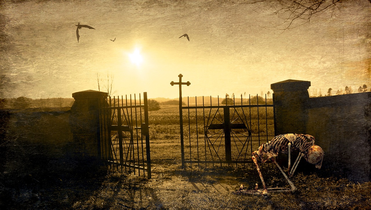 fantasy cemetery skeleton free photo