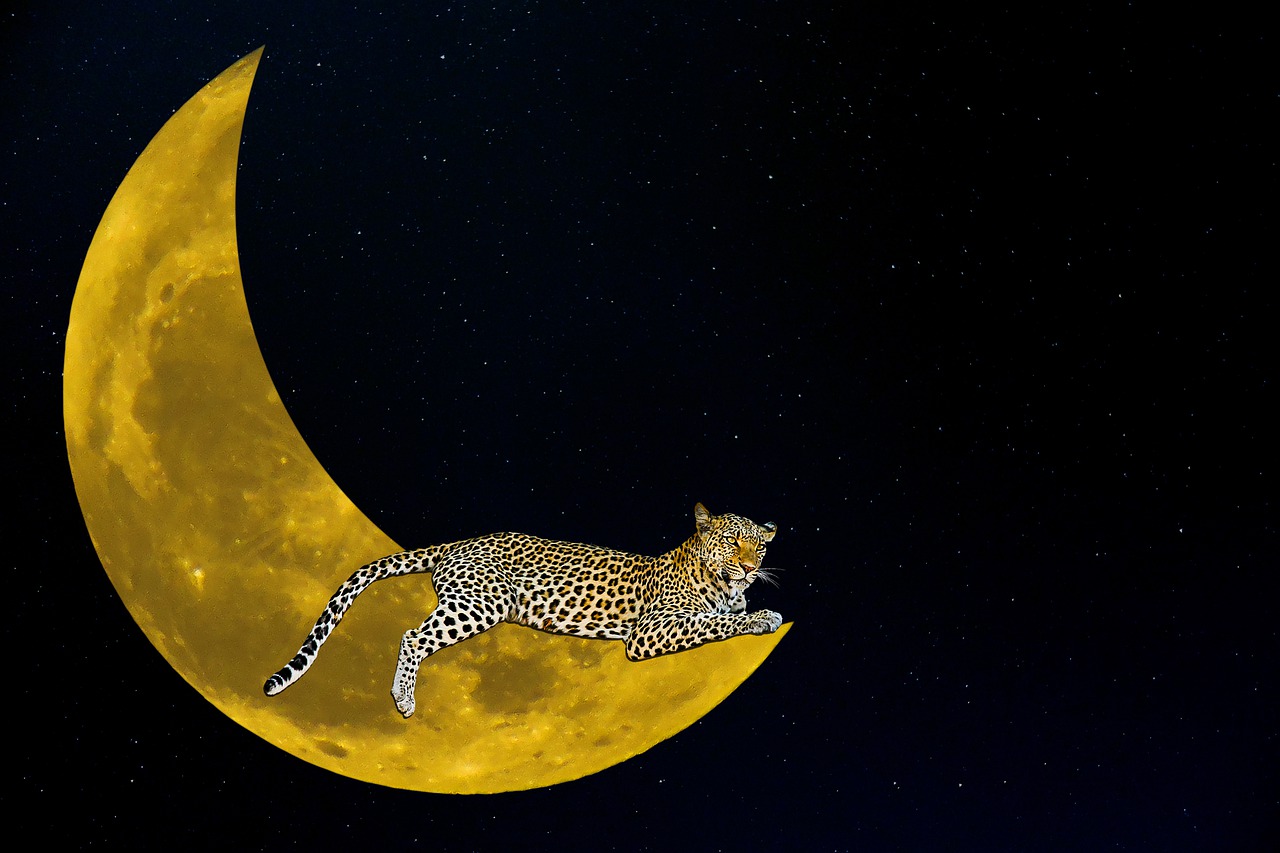 fantasy moon leopard free photo