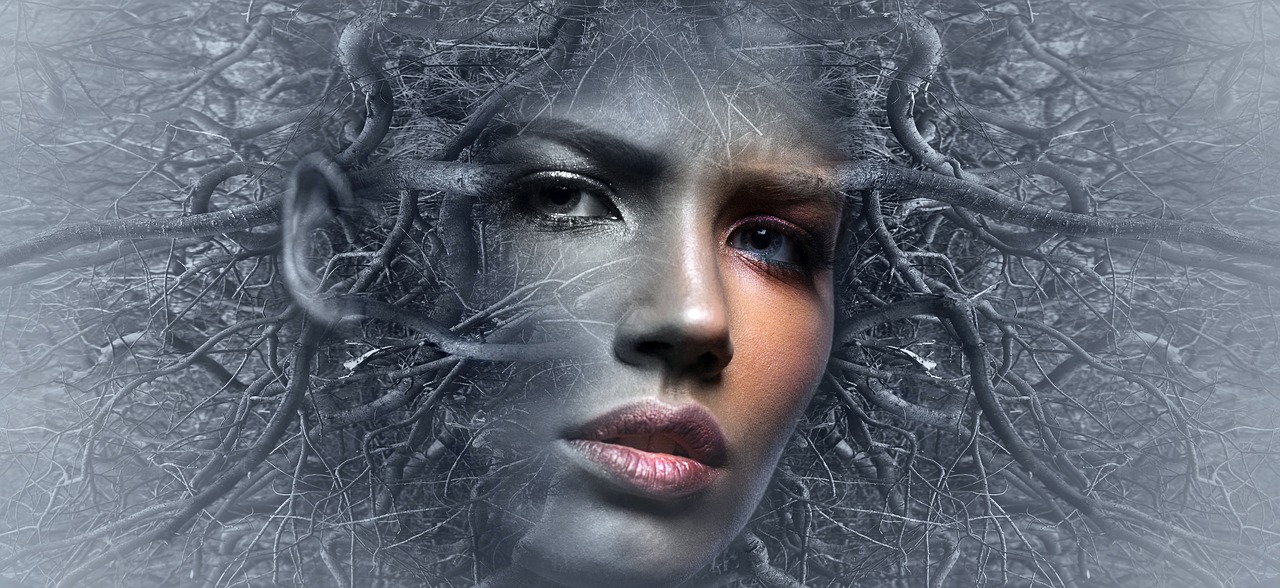 fantasy  face  branches free photo