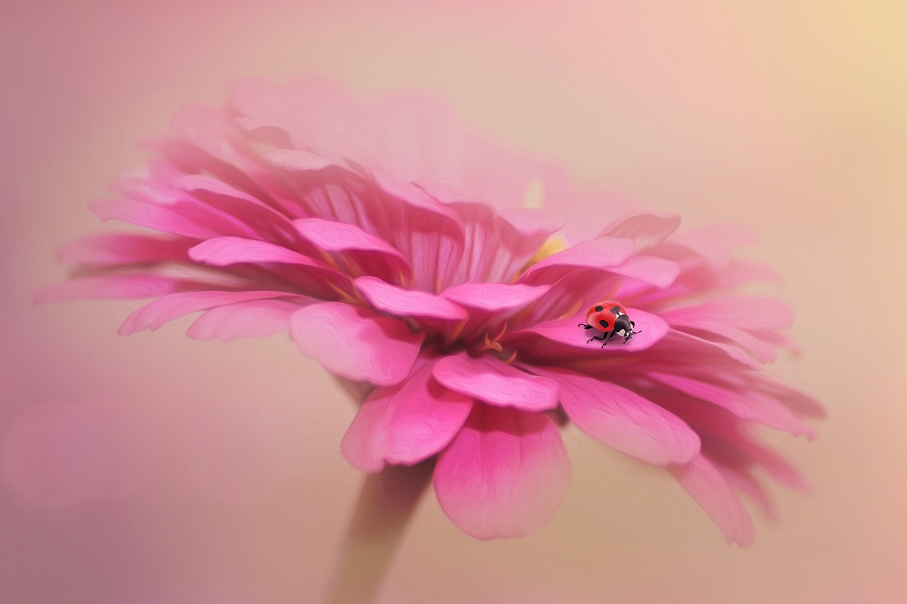fantasy  ladybug  blossom free photo