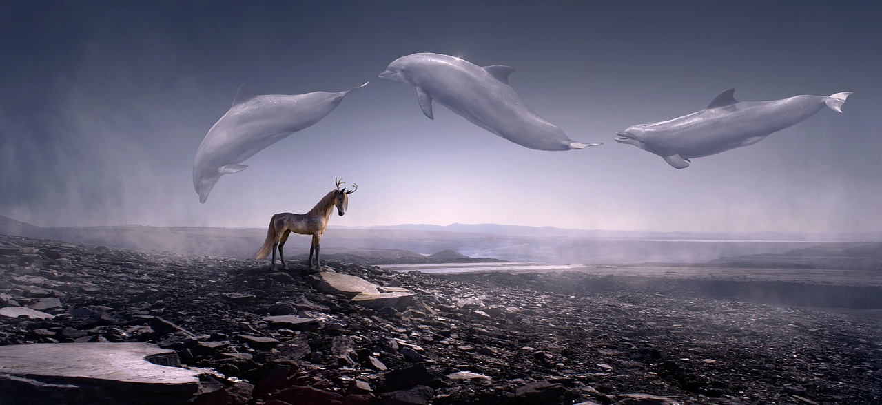 fantasy  dolphins  stone desert free photo