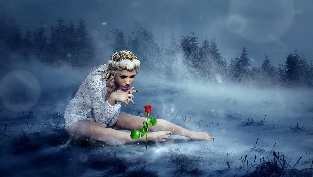 fantasy  winter  rose free photo