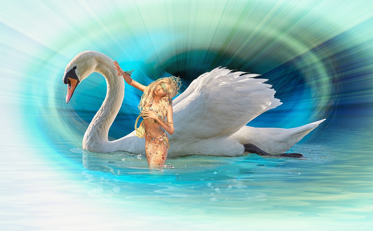 fantasy  swan  mermaid free photo