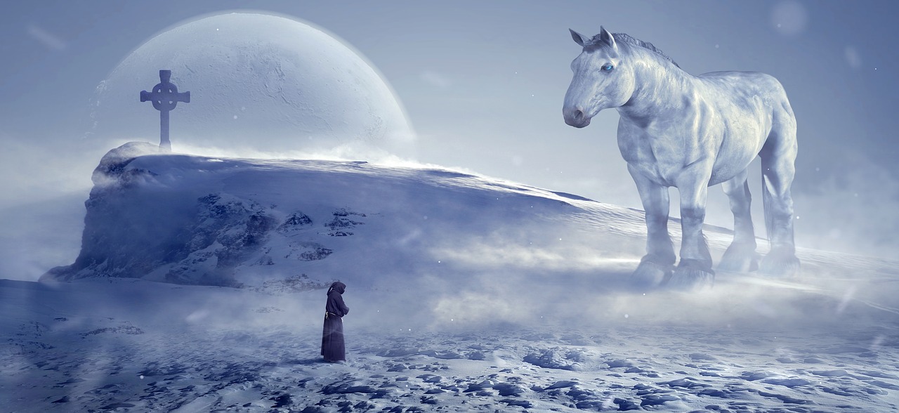 fantasy  winter  horse free photo