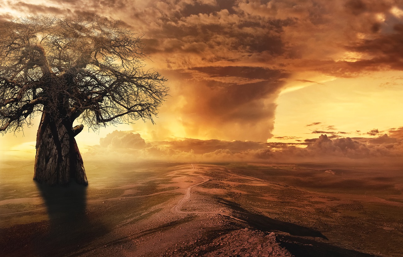 fantasy  tree  landscape free photo