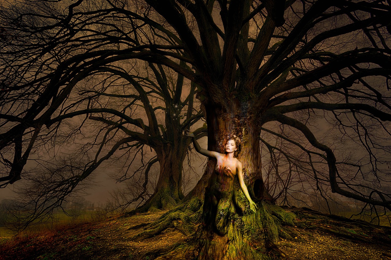 fantasy  woman  tree free photo