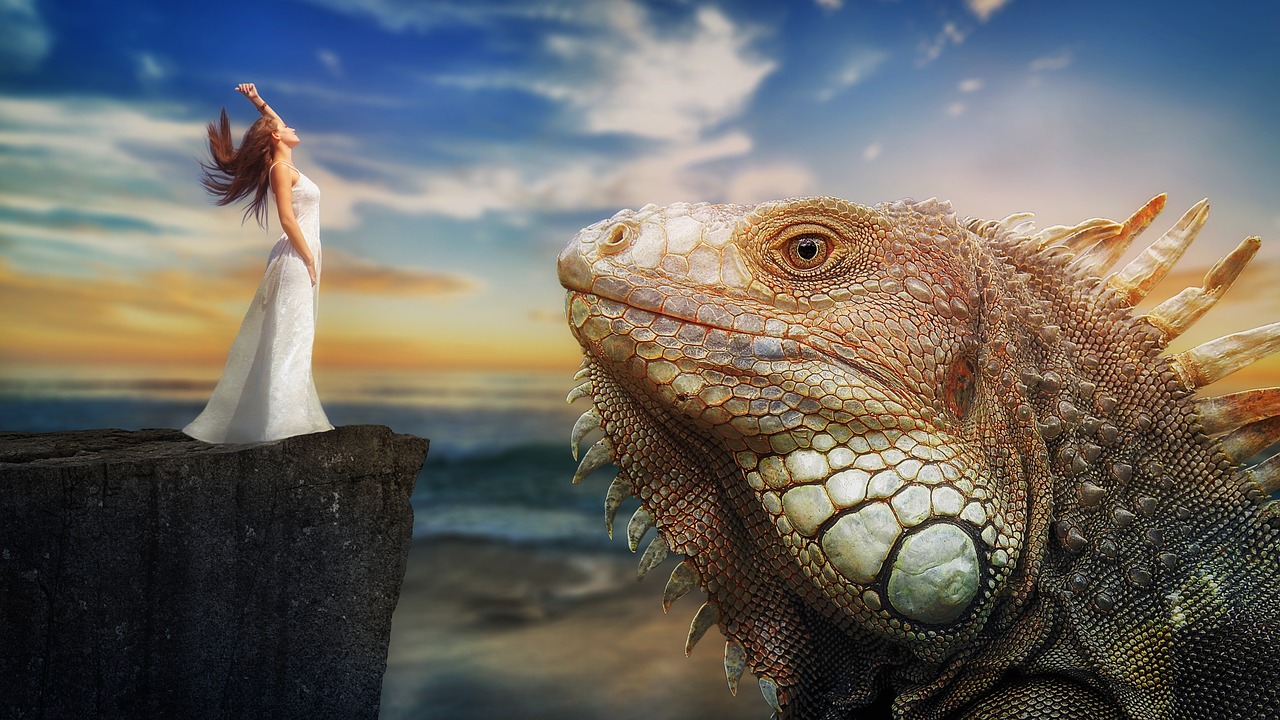 fantasy  dragon  iguana free photo