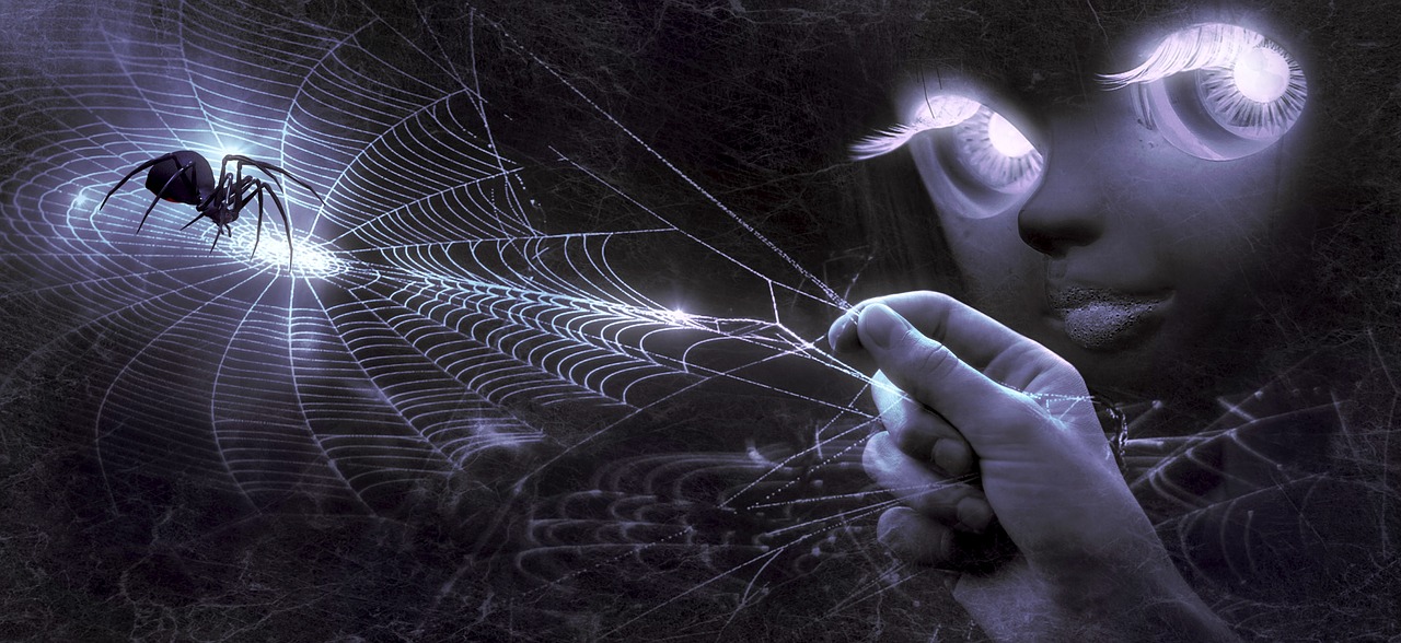 fantasy  hand  web free photo