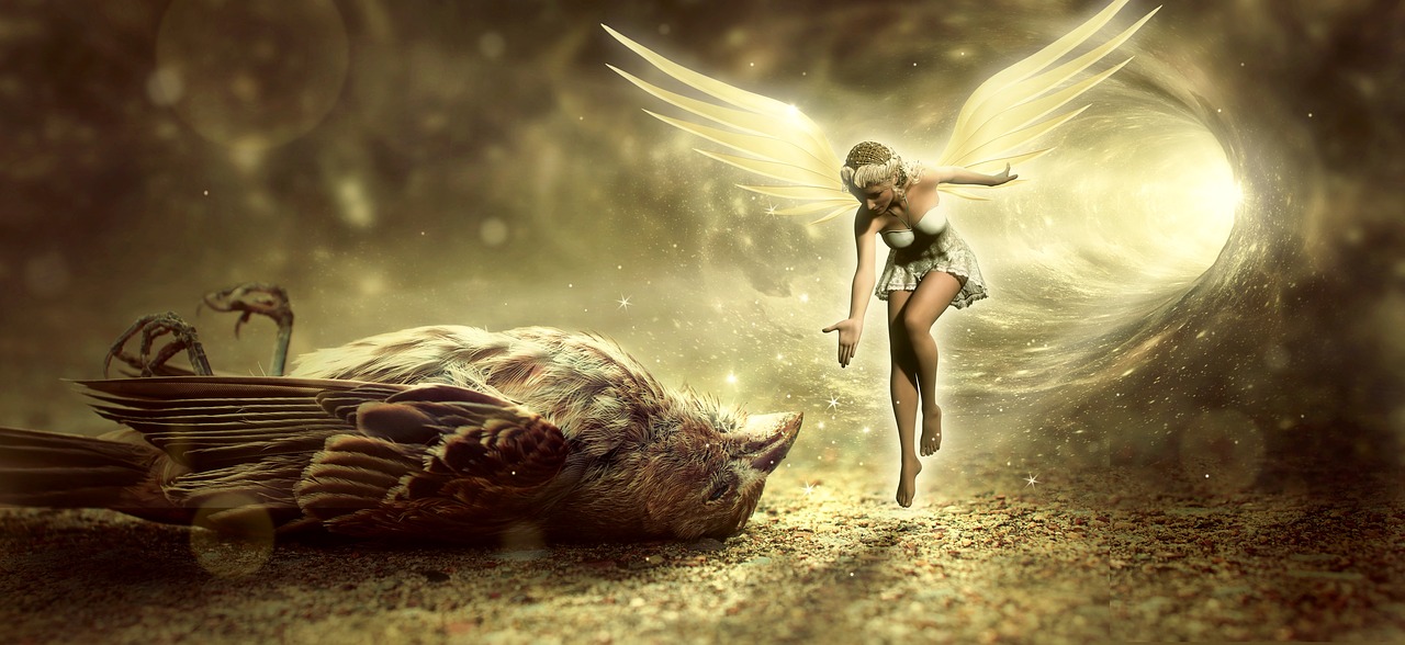 fantasy  bird  death free photo