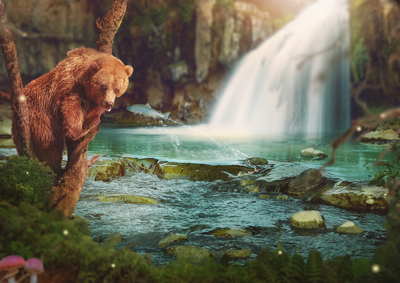 fantasy  brown bear  waterfall free photo