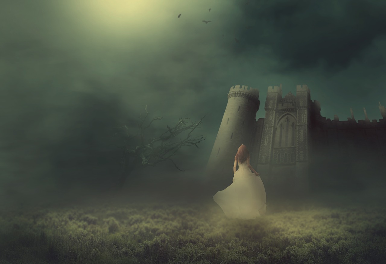 fantasy  castle  fog free photo