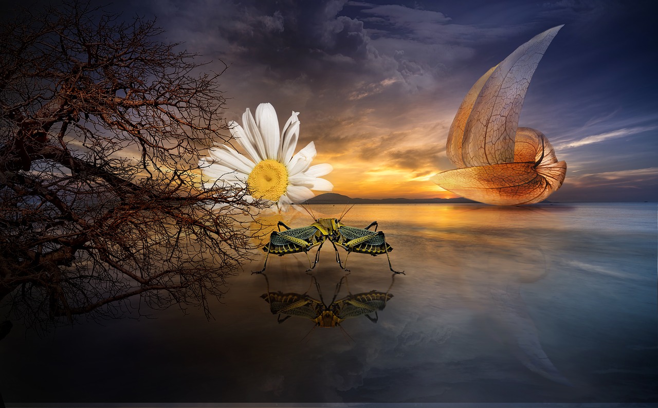 fantasy  composing  cover free photo