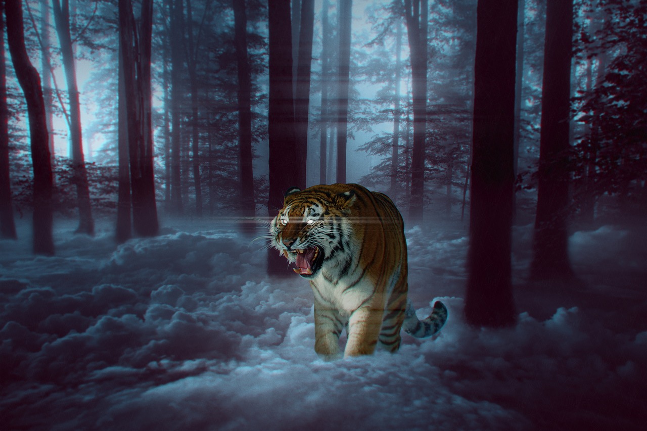 fantasy  tiger  woods free photo