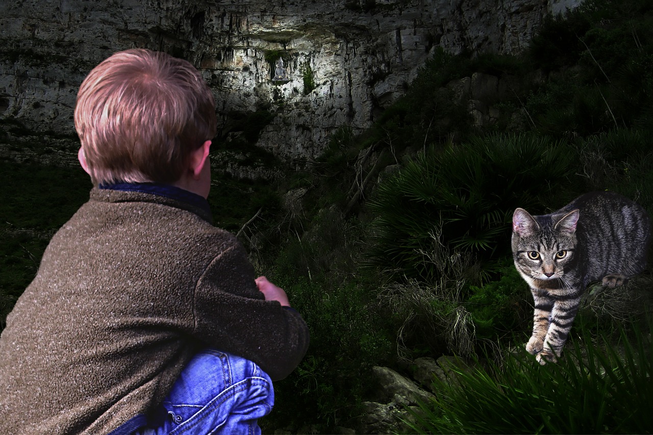 fantasy  child  crouching free photo