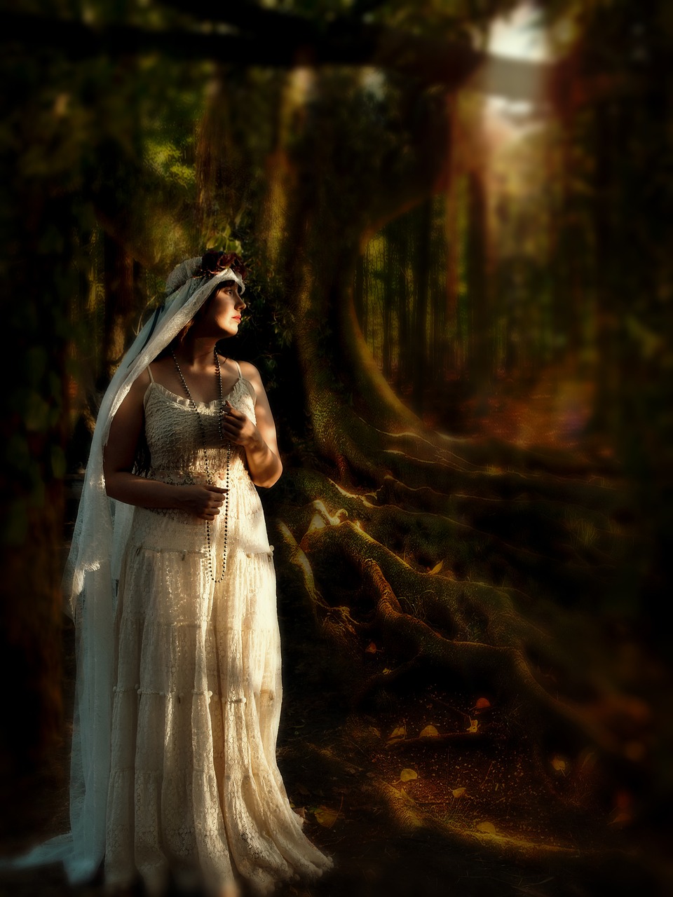 fantasy  forest  mysterious free photo