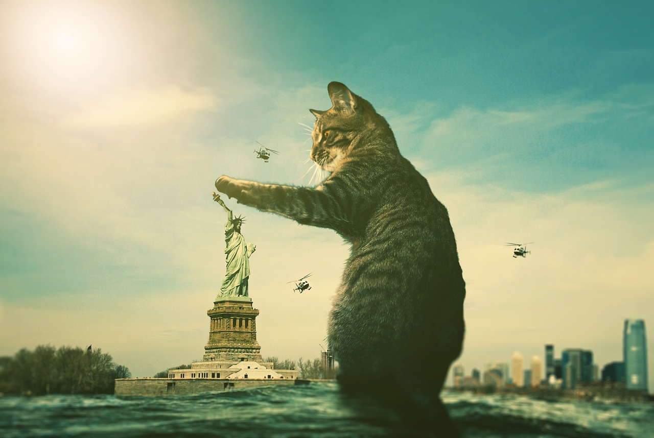 fantasy  cat  statue of liberty free photo