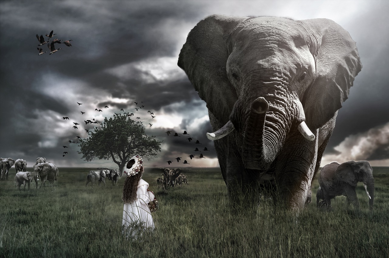 fantasy  child  elephant free photo