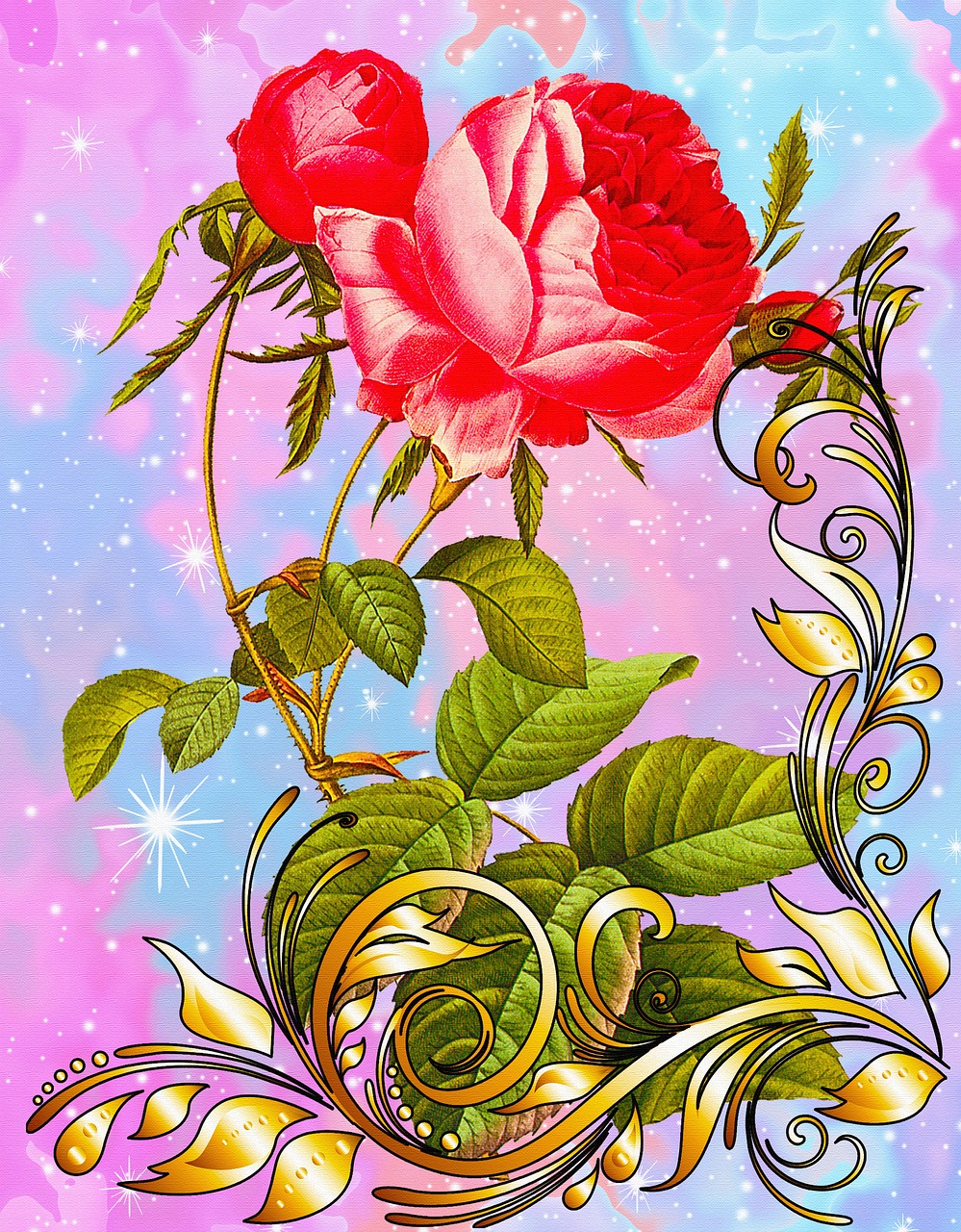 fantasy rose creative artwork wall art free photo