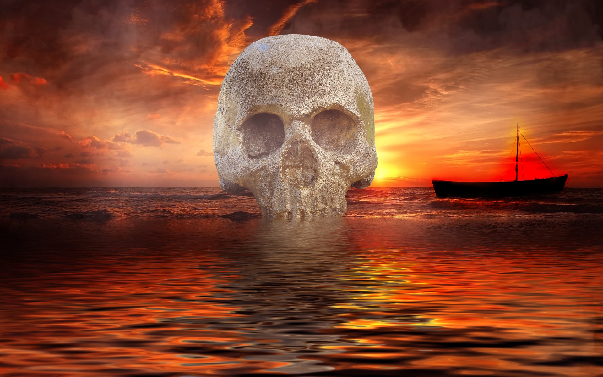 skull sea water free photo