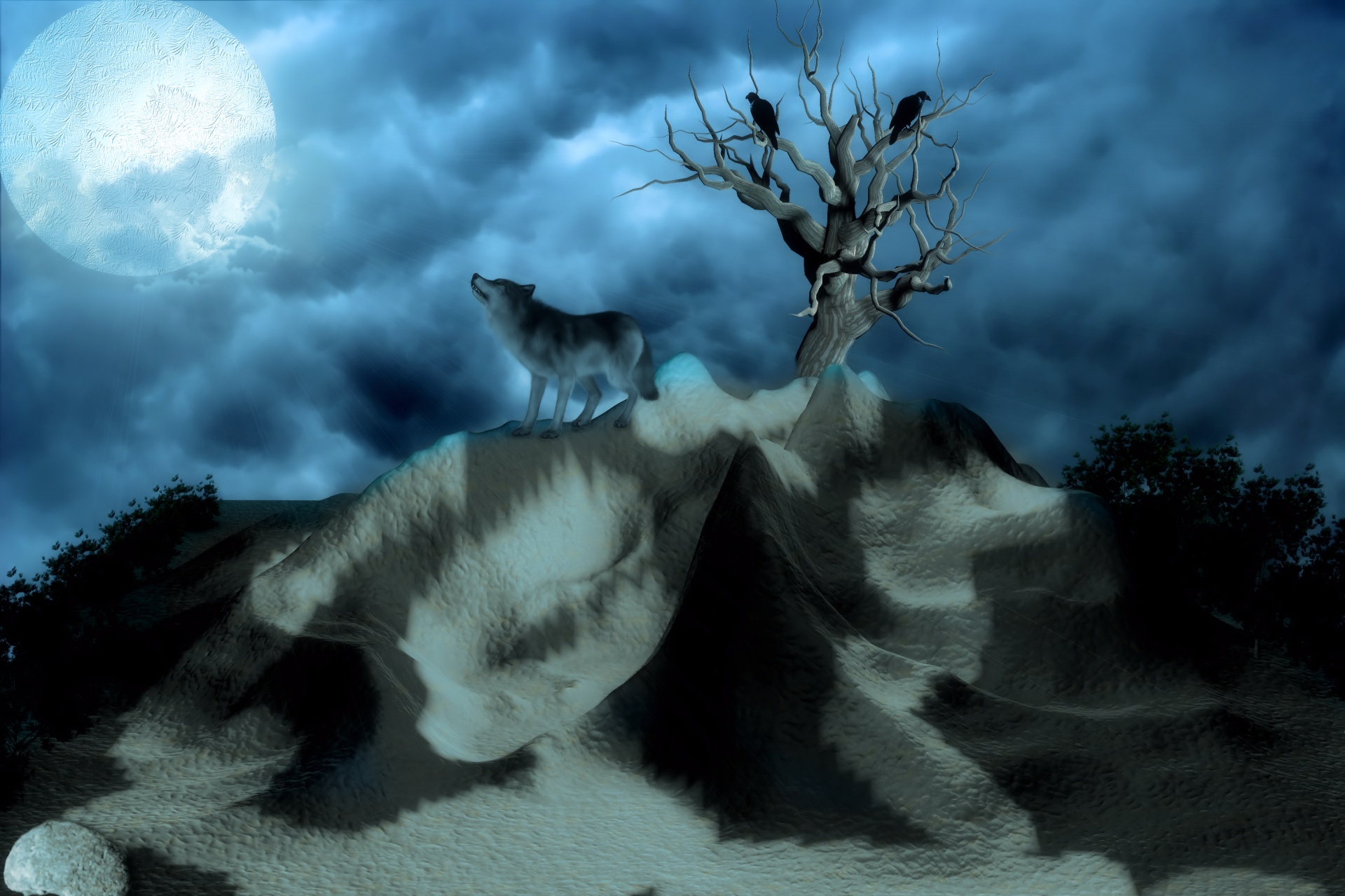 moon wolf night free photo