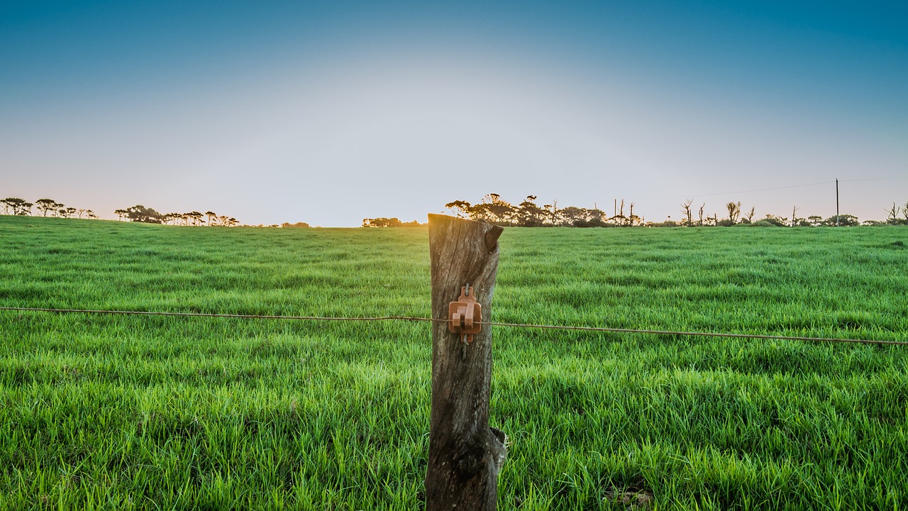 farm grass field free photo