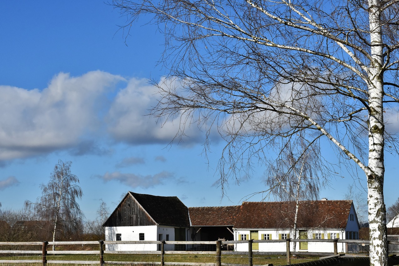 farm bauerhofmuseum rural free photo