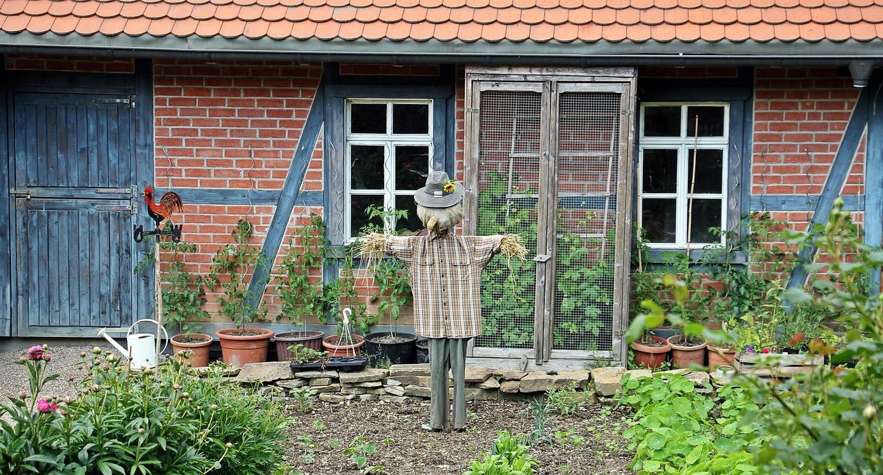 farm scarecrow goal free photo