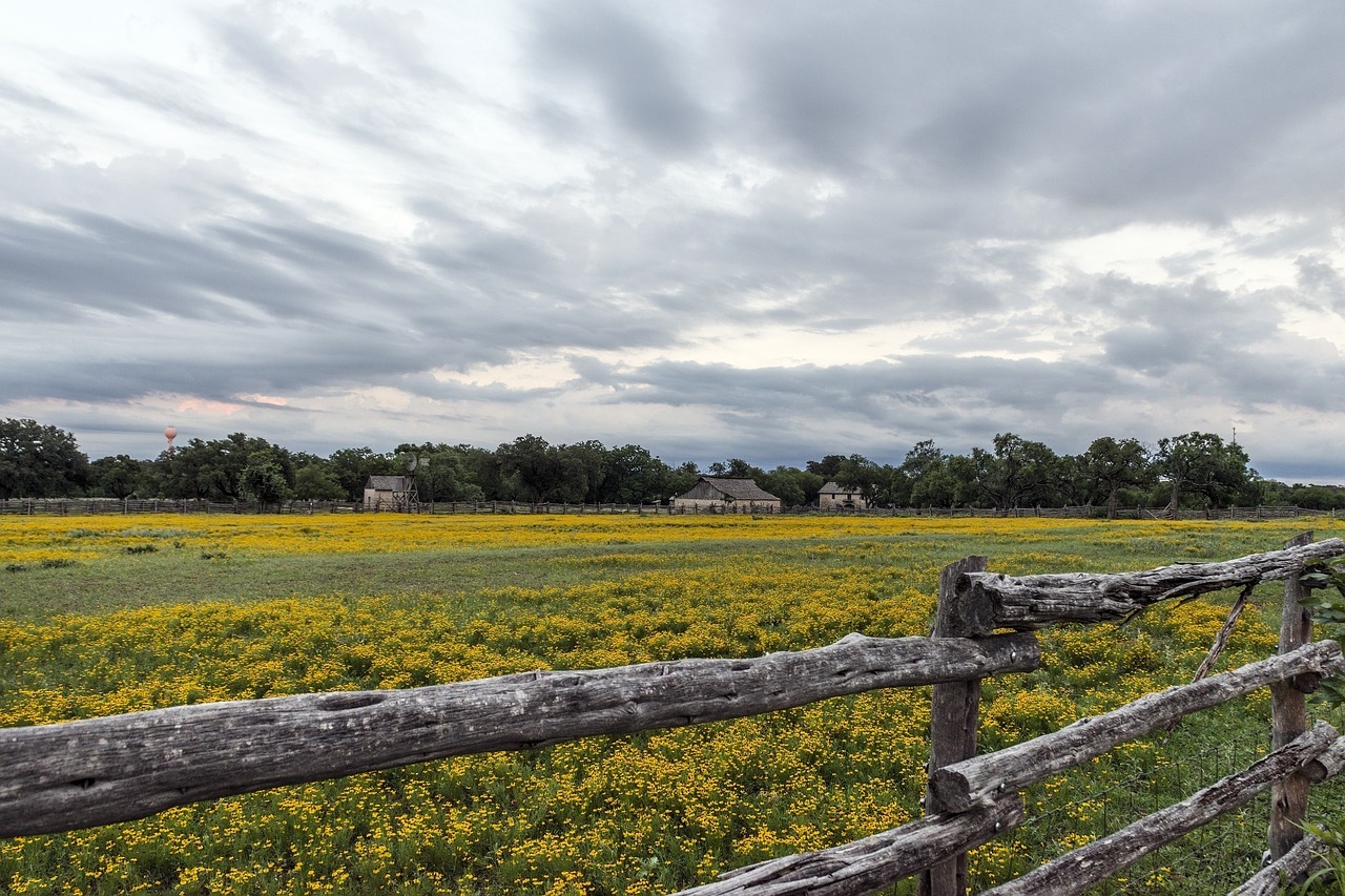 farm agriculture wildflowers free photo