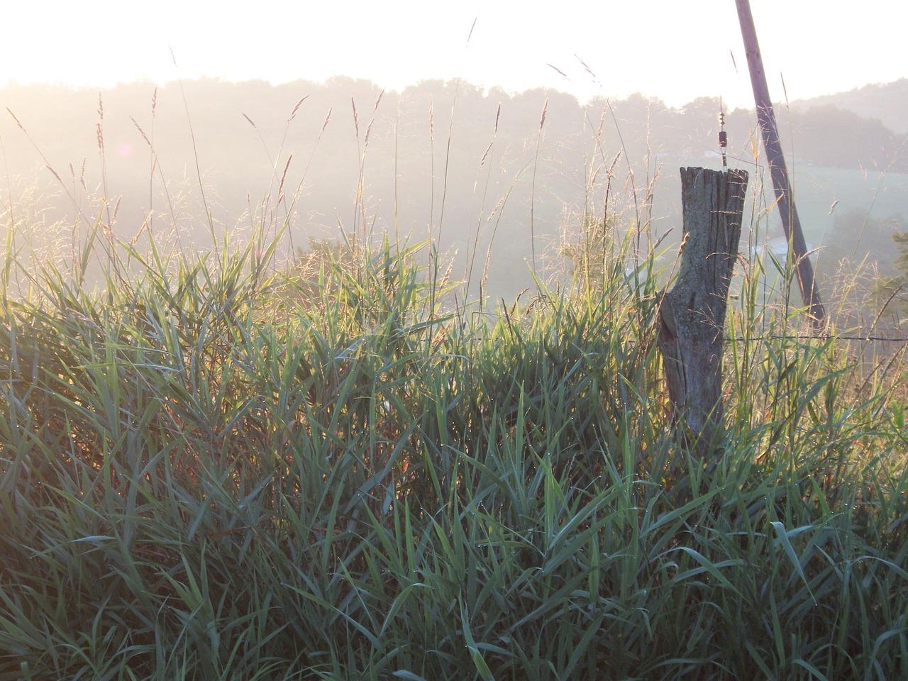 farm fencepost rural free photo