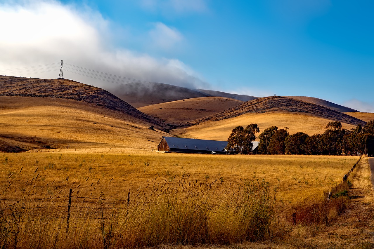 farm ranch california free photo