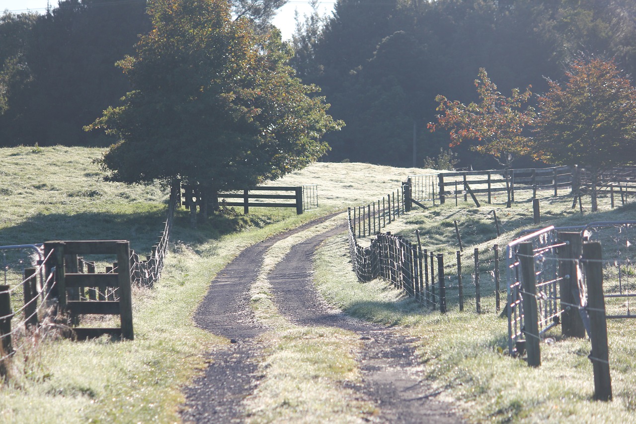 farm track outdoors free photo