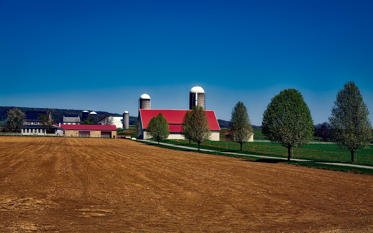 farm amish pennsylvania free photo