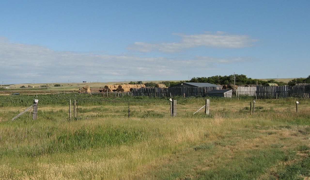 farm ranch ranching free photo