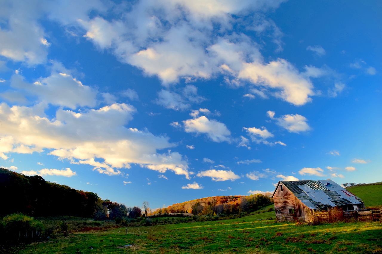 farm rustic shack free photo