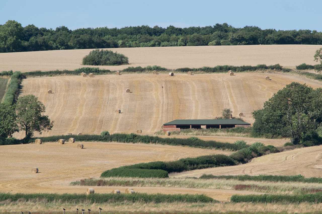 farm landscape rural free photo