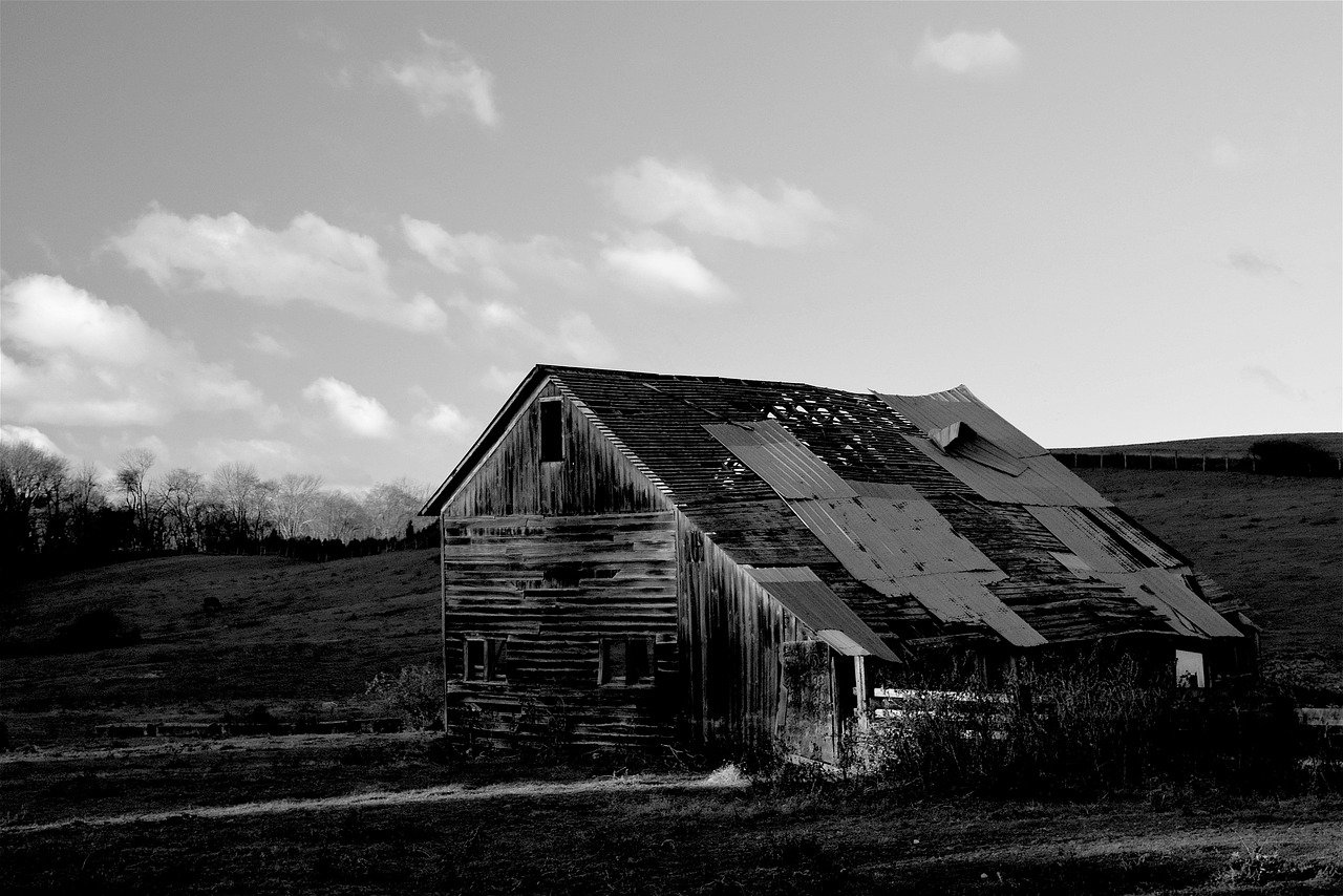 farm barn rural free photo