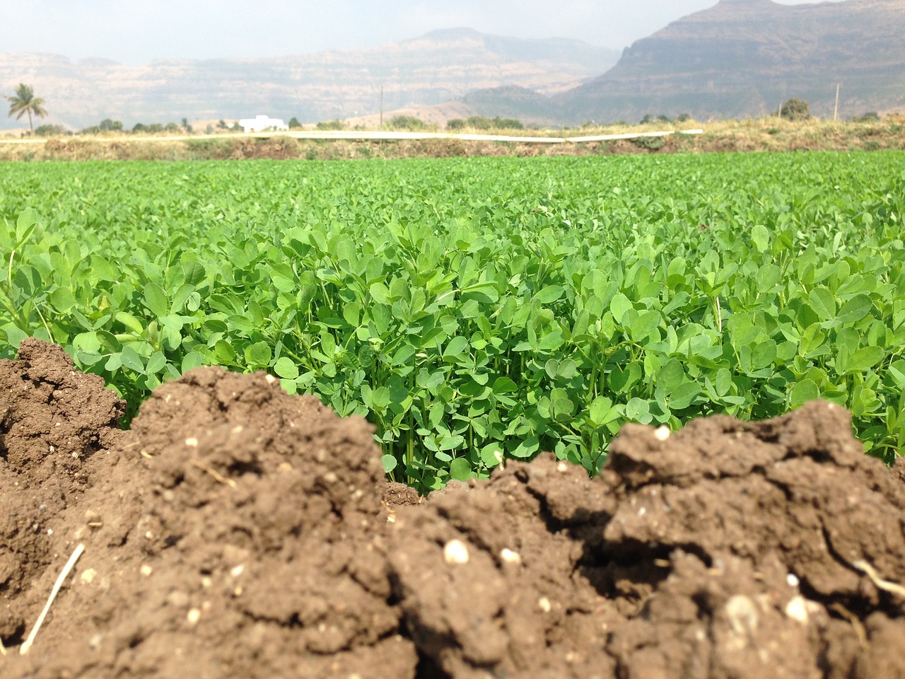 farm soil farm field free photo