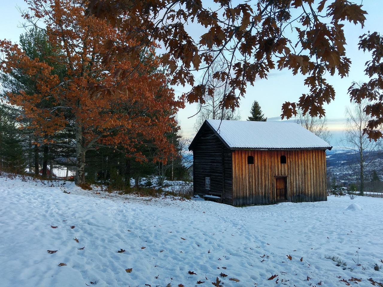 farm winter nature free photo