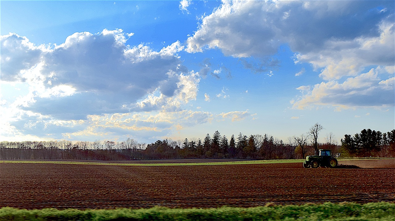 farm field sunset free photo