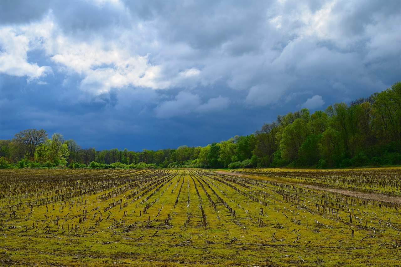 farm clouds nature free photo