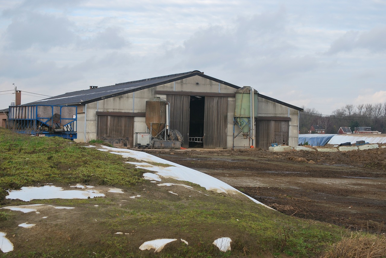 farm agriculture barn free photo