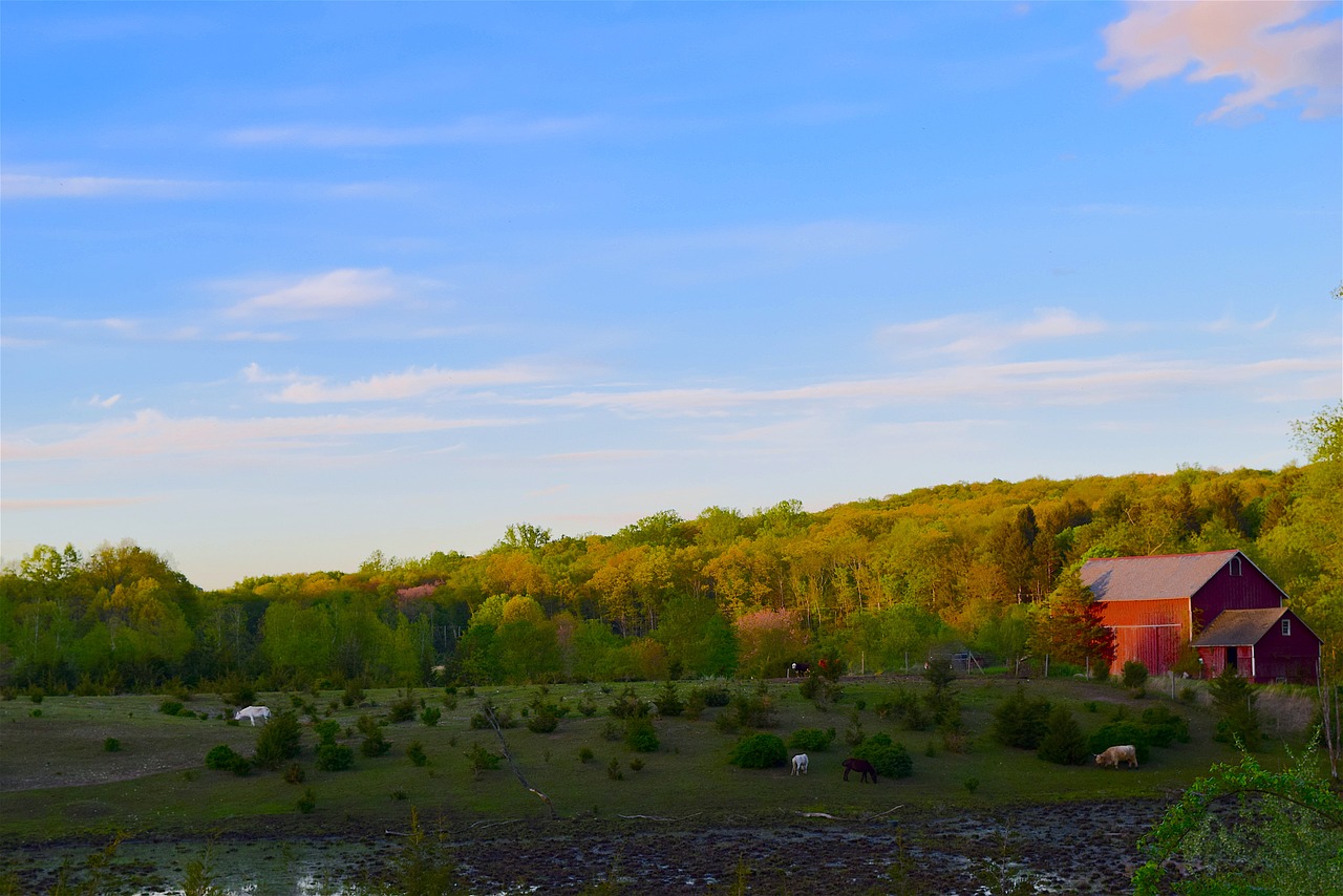 farm evening sunset free photo