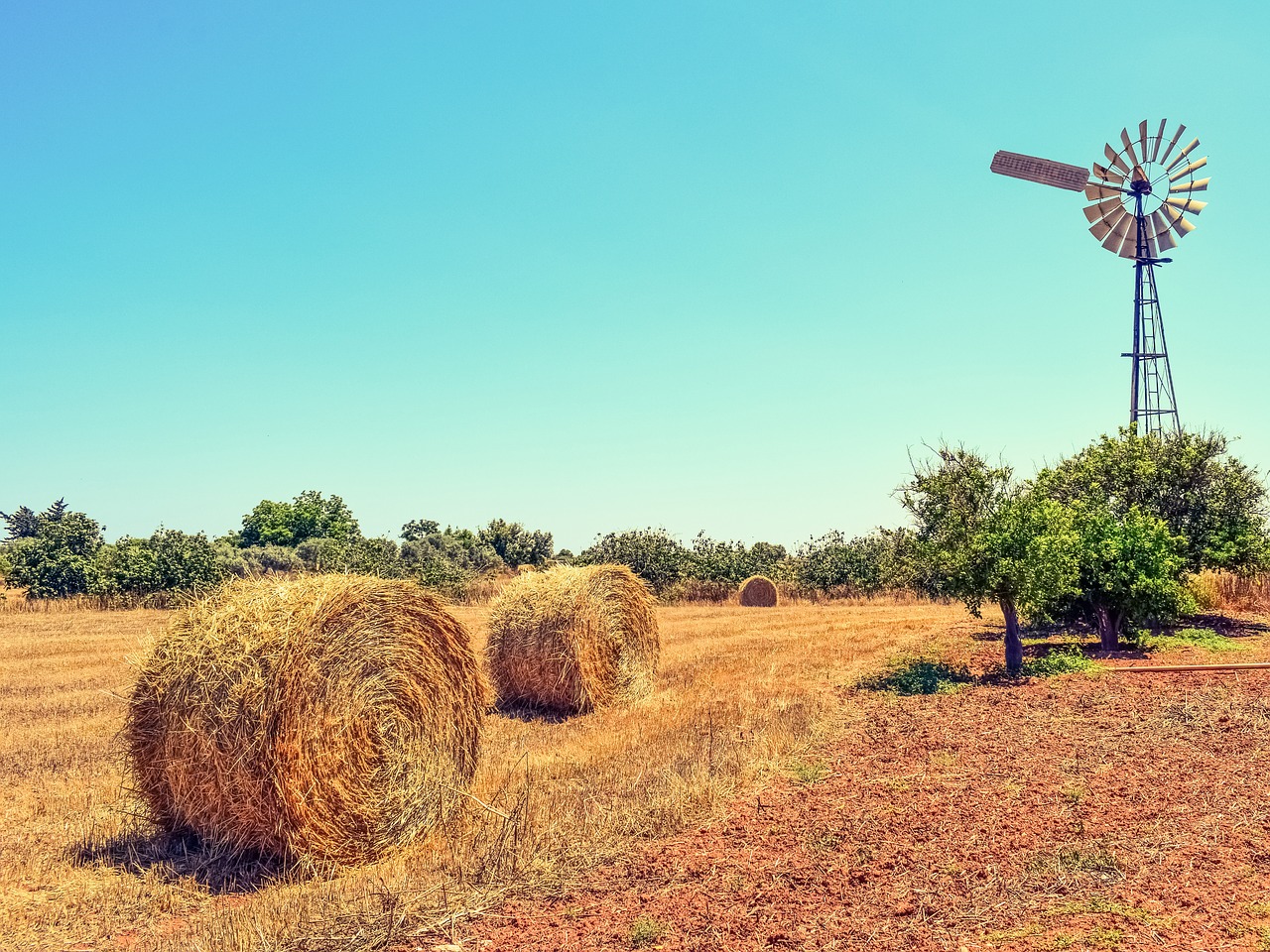 farm trees countryside free photo