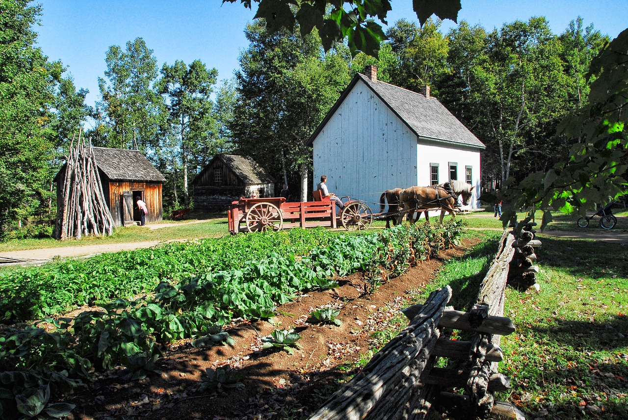 farm rural agriculture free photo